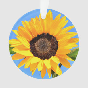 Adorno Girasol amarillo contra el sol en el cielo azul - 