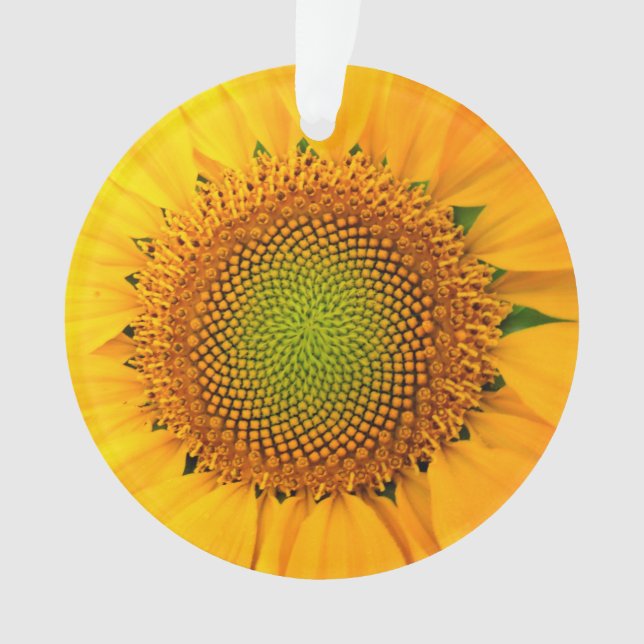 Adorno Girasol y semillas, espiral, relación dorada (Anverso)