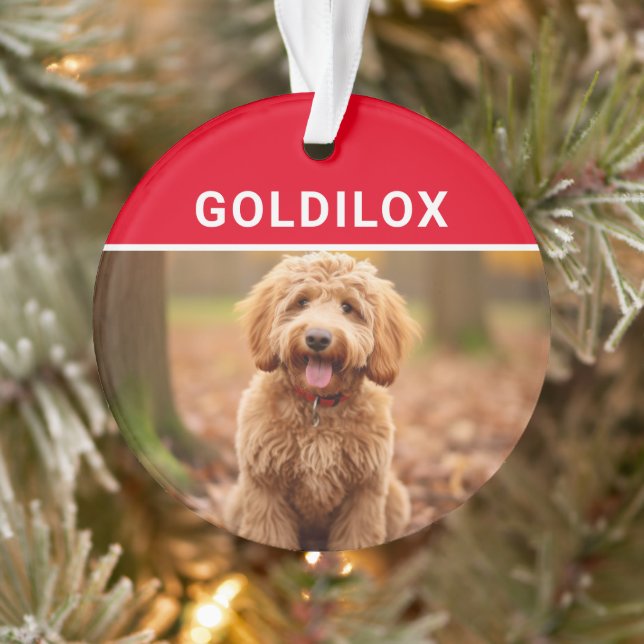Adorno Goldendoodle con Navidades de fotografía con nombr (Árbol)