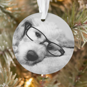 Adorno Goldendoodle con vidrio