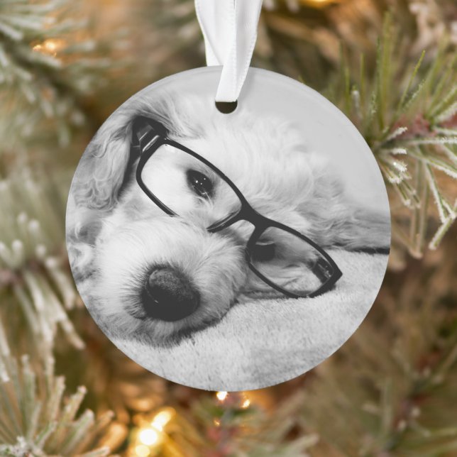 Adorno Goldendoodle con vidrio (Árbol)