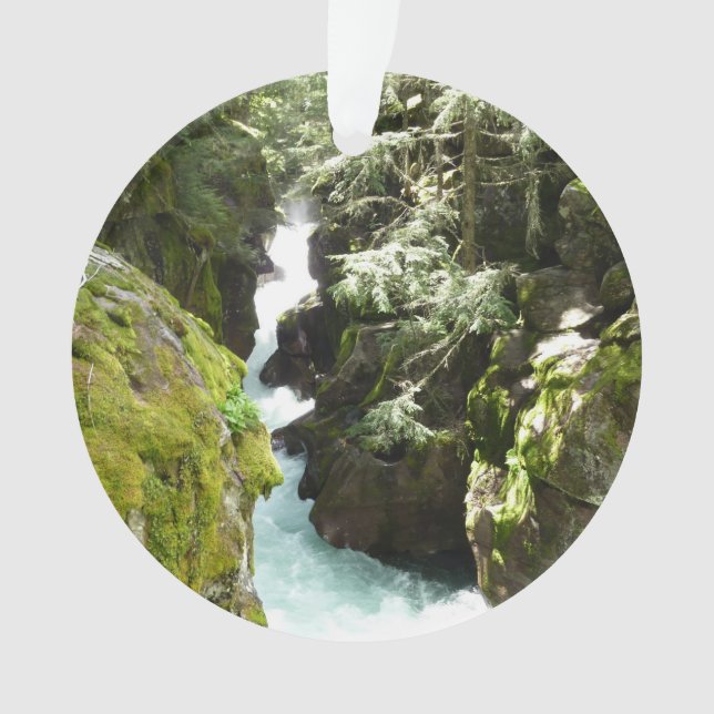 Adorno Gorge II de Avalanche en el Parque Nacional Glacia (Anverso)