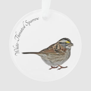 Adorno Gorrión Blanco-Throated