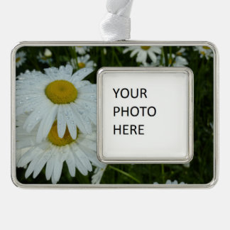 Adorno Gotas de lluvia en Daisies Floral de flores silves