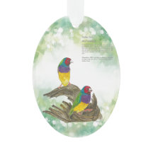 Gouldian Finch Pintada A Mano Colorida