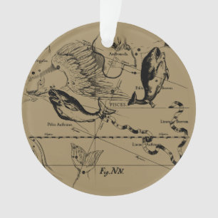 Adorno Grabado De Constelación Pisces Hevelius 1690