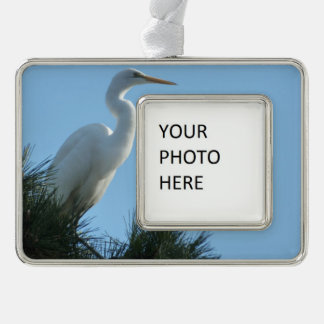 Adorno Gran Egret en la soleada Florida