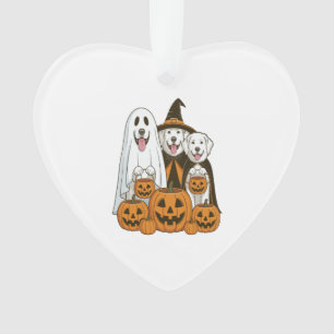 Adorno Gran Perro Pirineo Fantasma Bruja Halloween Combin