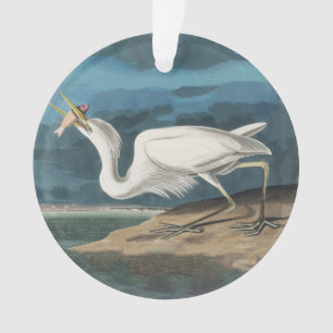 Adorno Gran pintura de vida silvestre de la garza Audubon