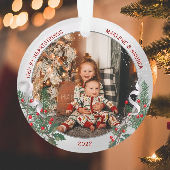 Adorno Gran Sis 1ª Navidades Marco de la Planta Plata Clá (Subido por el creador)