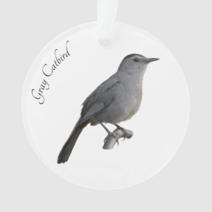 Adorno Gray Catbird