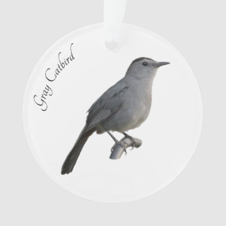 Adorno Gray Catbird