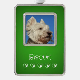 Adorno Green Pet Photo Ornament - Frame, Pet's Name