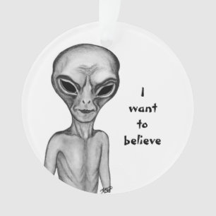 Adorno Grey Alien , quiero creer