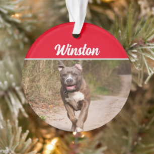 Adorno Grey Pit Bull with Name and Photo Christmas