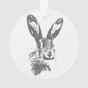 Adorno Hare