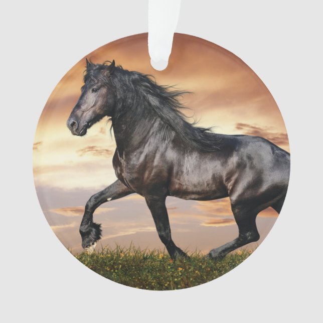 Adorno Hermoso caballo negro (Anverso)