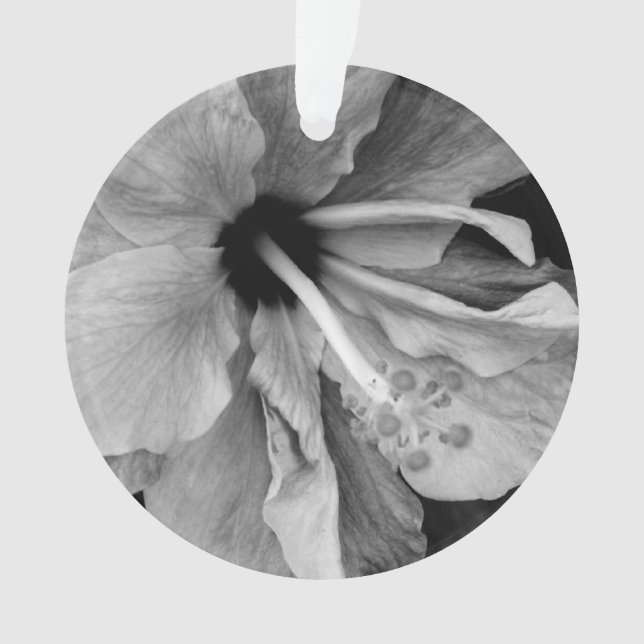 Adorno Hibisco (Anverso)