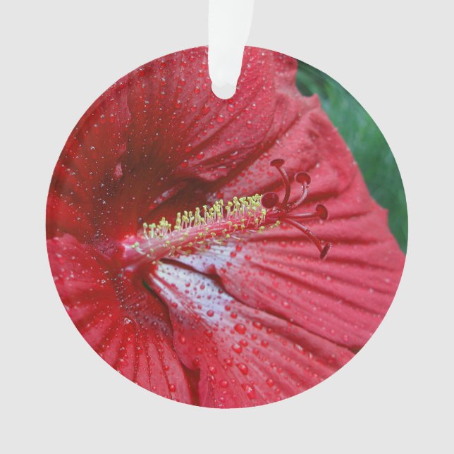Adorno Hibiscus Rojo Con Lluvias (Anverso)