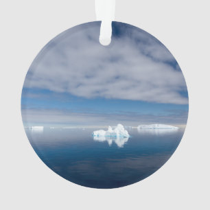 Adorno Hielo flotante en la Antártida