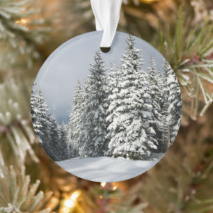 Adorno Hielo y nieve   Pine Woodland, Austria