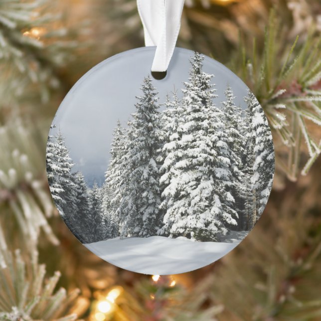 Adorno Hielo y nieve | Pine Woodland, Austria (Árbol)