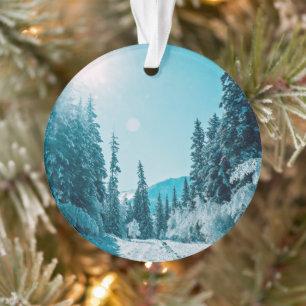 Adorno Hielo y nieve Reserva Natural de Altai, Rusia