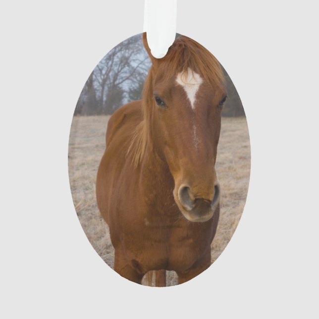 Adorno Hipótesis (Reverso)