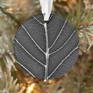 Adorno Hoja brillante en blanco y negro en primer plano