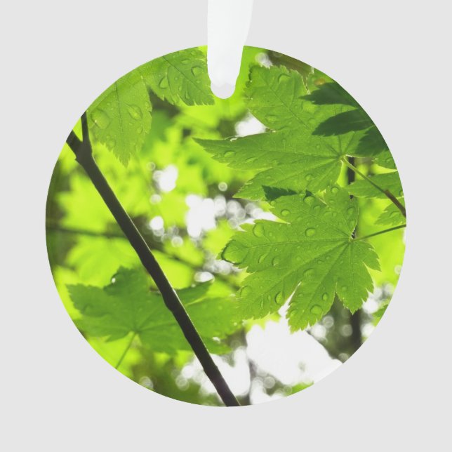 Adorno Hojas de arce con gotas de lluvia (Anverso)