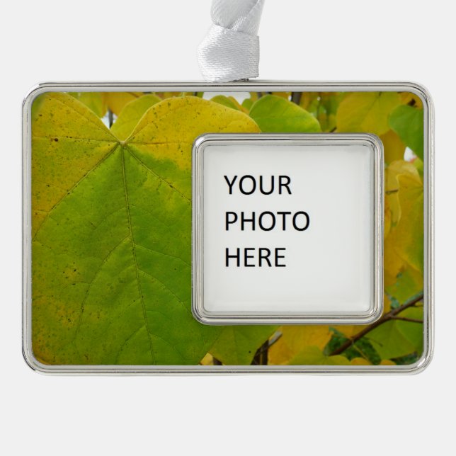 Adorno Hojas rojas amarillas y verdes (Anverso)