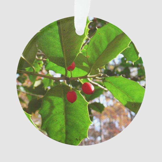 Adorno Holly Leaves II Naturaleza de las vacaciones Botán (Anverso)