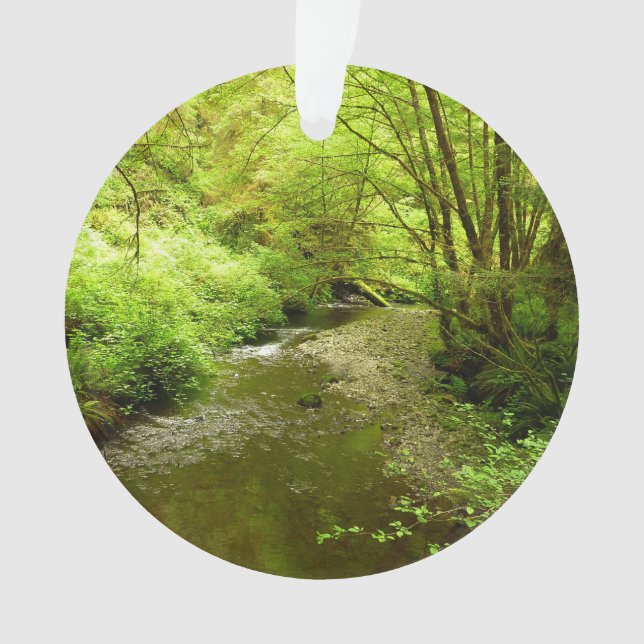 Adorno Hombre perdido en el parque nacional Redwood (Anverso)