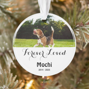 Adorno Homenaje Personalizado para Mascotas - Regalo para