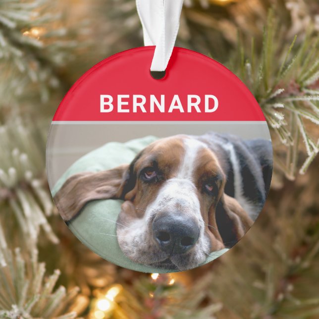 Adorno Hound Basset con Navidades de fotografía y nombre  (Árbol)