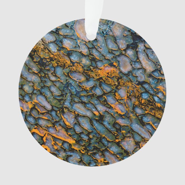 Adorno Hueso de dinosaurio Petrificado (Anverso)