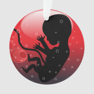 ADORNO HUMAN BABY EMBRYO