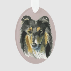 Adorno Ilustracion de la acuarela del perro del collie
