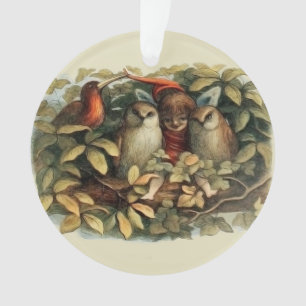 Adorno Ilustración de la naturaleza de búhos y hadas elfa