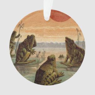 Adorno Ilustración de ranas almohadillas de lirio luna