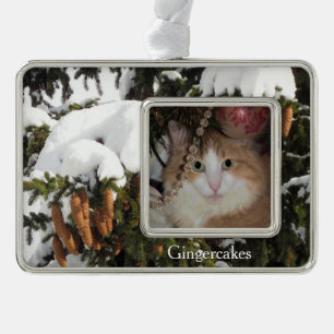 Adorno Imagen de invierno y foto Personalizado Ornamento