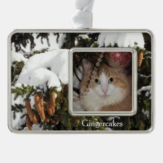 Adorno Imagen de invierno y foto Personalizado Ornamento