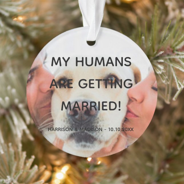 Adorno Invitación de compromiso personalizado foto pareja (Árbol)