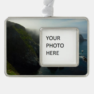 Adorno Isla de Foggy Anacapa en Islas del Canal