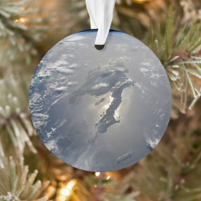 Adorno Isla De La Española Con Sunglin (Árbol)