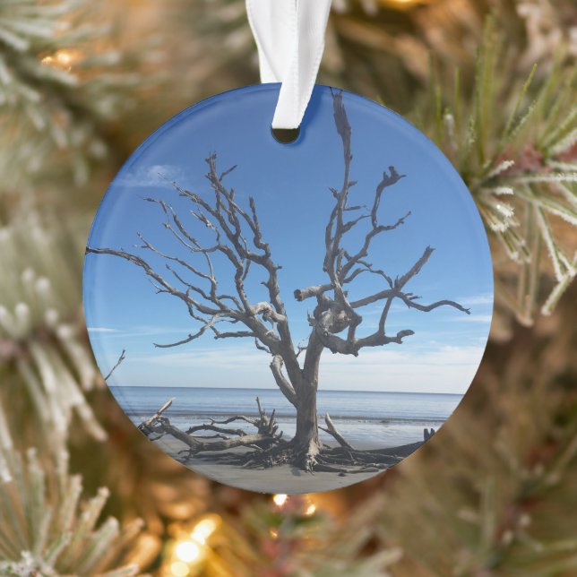 Adorno Isla Jekyll Georgia (Árbol)
