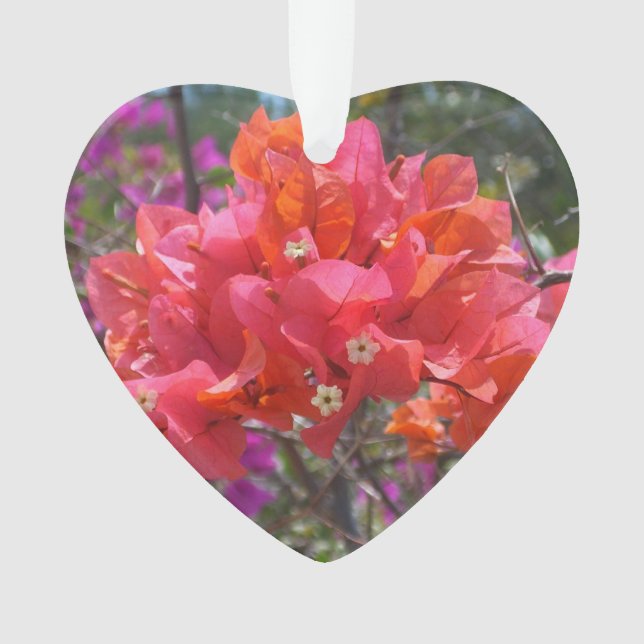 Adorno Isla Tropical Rosa Bougainvillea Floral (Anverso)