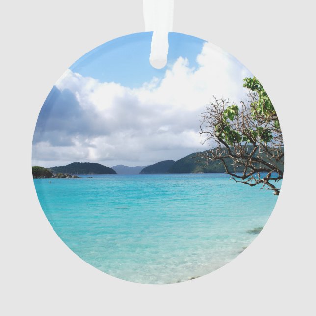 Adorno Islas Vírgenes de los Estados Unidos (Reverso)