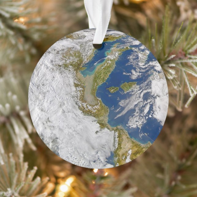 Adorno Italia Y El Mar Adriático. (Árbol)