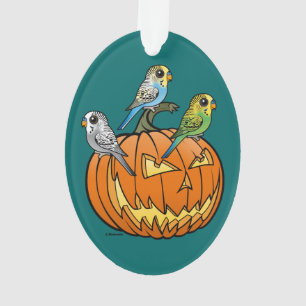 Adorno Jack O'Budgies